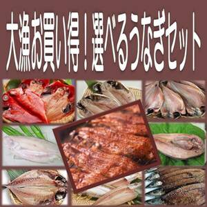 3《送料無料》うなぎ蒲焼８尾＋選べる干物６品セット 金目鯛 沼津産鯵 ホッケ カマス えぼ鯛 大サバ 対馬鯵 秋刀魚 平サバ 鰯より選択