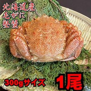 【北海道産】毛がに　1尾（300ｇサイズ）　堅蟹　毛蟹　けがに　ケガニ　蟹　かに　ボイル　母の日　父の日　お中元　お歳暮　年末