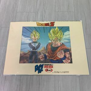 ドラゴンボールZ DVD BOX DRAGON BOX Z編vol.2 予約特典 セル画 非売品