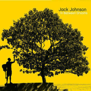 新品 LP ★ ジャック・ジョンソン In Between Dreams ★Jack Johnson オルガンバー サバービア フリーソウル クボタタケシ muro レコード