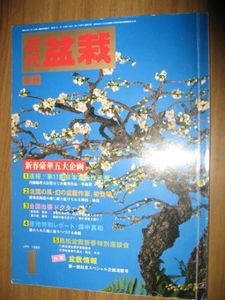 近代盆栽　１９８６年１月号　第１１回日本盆栽作風展