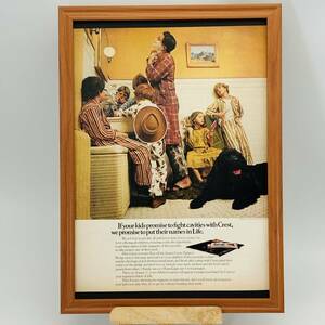 『 クレスト 歯磨き粉 ( CREST ) 』ビンテージ 広告　60年代　フレーム 付 ポスター 当時物 額付 LIFE 雑誌 アンティーク オリジナル