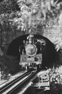 飾って楽しむ鉄道写真（去りゆく蒸気機関車：田川線 ） NO.63830133「C11257」