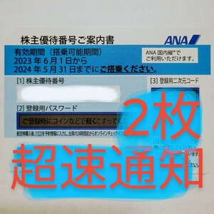 ANA 株主優待券　株主割引券　2枚　お急ぎ　番号通知　コード通知　迅速対応　2024年5月31日　全日空