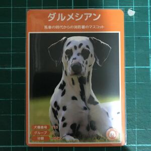 【犬種図鑑カード】 No.023 ダルメシアン