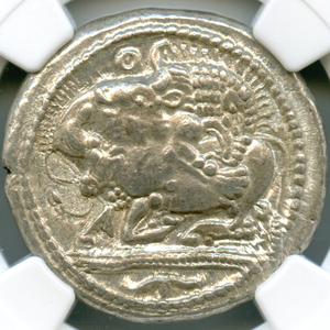 マケドニア王国 アカンサス 雄牛を襲うライオン 紀元前470~430年 テトラドラクマ 銀貨 NGC Ch AU 5/5 4/5