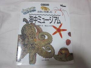 ■【写真が沢山◎　海の生物】■【海の休日　出会いを楽しむ　海中ミュージアム】■【山と渓谷社】■【送料２３０円】■