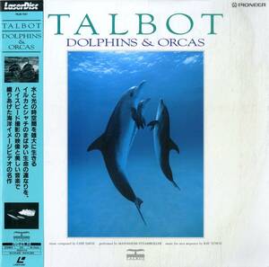 B00176756/LD/ボブ・タルボット(撮影)「ドルフィンズ＆オルカス」