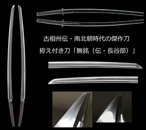 【南北朝相州伝・拵入り】へし切り長谷部を彷彿させる南北朝時代の古相州伝、2尺4寸超の大磨り上げ刀:「無銘（伝・長谷部）」