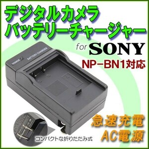 CASIO NP-120/SONY ソニー NP-BN1 対応 互換急速 充電器 AC 電源 1