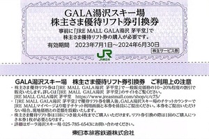 ガーラ湯沢スキー場　優待リフト券引換券　18枚set　～9組迄　2024年6月末迄有効　JR東日本・GALA湯沢・株主優待券　事前購入要・JRE MALL