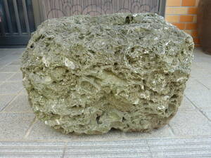 ◆◆木下貝層石◆千葉県印西市 ・国指定天然記念物◆県の石◆