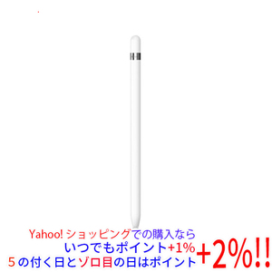 【中古】APPLE Apple Pencil 第1世代 USB-C - Apple Pencilアダプタ付き MQLY3J/A 元箱あり [管理:1050021756]