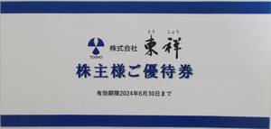 東祥 株主優待券 2024年6月まで ホリデイスポーツクラブ ホリデイゴルフガーデン HOLIDAY