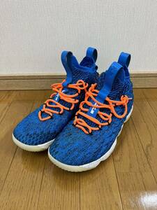 NIKE LEBRON XV EP ☆AO1754-400 / ナイキ レブロン15 バッシュ バスケットシューズ スニーカー 