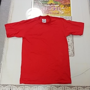 pro club heavyweight T-shirt プロクラブ 半袖 Tシャツ size S