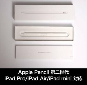 【美品】Apple Pencil 第2世代 【対応iPad → iPad Pro 12.9 (第3〜第6世代) / iPad Pro 11 (第1〜第4世代) / iPad mini (第6世代) 等】