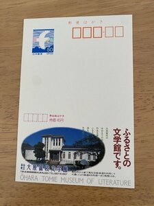 額面50円はがき　エコーはがき　未使用はがき　広告はがき　ふるさとの文学館です。　大原富枝文学館　高知県