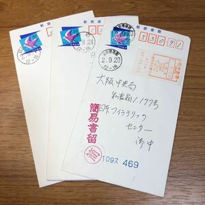 ★エンタイア　25172 郵便書簡　青空と小鳥51円　丸型日付印