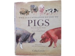 洋書◆豚の画集 作品写真集 本 ブタ 動物 選び方 飼い方