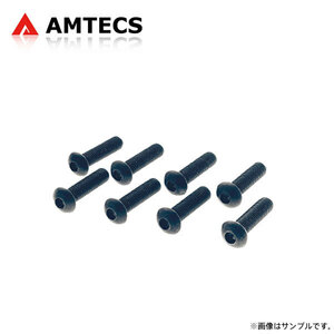 AMTECS アムテックス SPC リアハブベアリング交換用ボルト8本セット M10 X 1.5 X 40 ゴルフ2/3 A2 1G A3 1H 1983～1997