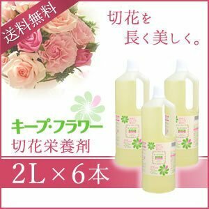 送料無料 キープ・フラワー 切花栄養剤 2L 《6本セット》