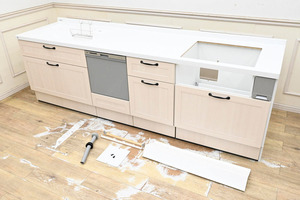 NP19 美品 使用少 ハウステックス 食器洗い乾燥機 システムキッチン 2022年製 引き取り大歓迎