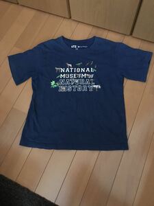 【送料無料】UNIQLO キッズ　半袖Tシャツ サイズ120 中古　smithsonian コラボ　ユニクロ　ut