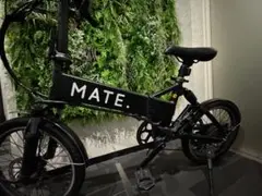 MATE X 250MATE CITY Eバイク メイトシティ
