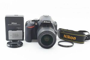 [美品] Nikon ニコン D5600 + AF-P 18-55mm レンズ #2058660