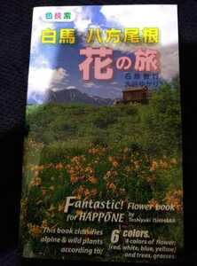 ▼▼希少 白馬 八方尾根 花の旅 色検索 植物 北アルプス 登山 山登り　送料無料②y