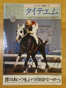 【J】非売品　名馬　クリアファイル　ヒーロー列伝 No.3 タイテエム　JRA