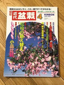 ■雑誌「近代盆栽」2002年4月号