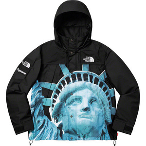 Supreme The North Face Statue of Liberty Mountain Parka Black S ノースフェイス マウンテンパーカー マンパ 自由の女神 シュプリーム