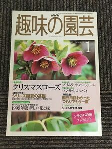 NHK趣味の園芸 1999年1月号 / クリスマスローズ、プリムラ