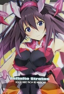 IZUMNIZM/IS/インフィニット・ストラトス/Infinite Stratos/OKIURA/ノシ