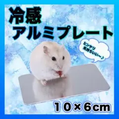 冷感アルミプレート 10×6cm クール 小動物 熱中症対策 ハムスター ペット