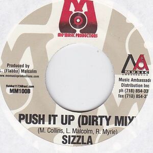 Epレコード　SIZZLA / PUSH IT UP (PUPPY WATER)