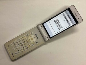 AE664 docomo P-01G ホワイト