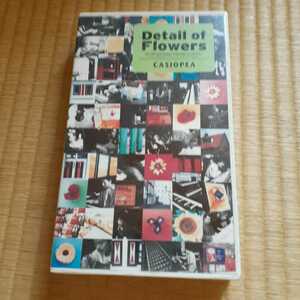 ★激安激レア　casiopea/detail of flowers 日本のフュージョン名バンド、カシオペア　野呂一生