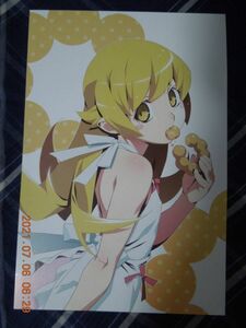 偽物語 ポストカード 忍野忍 / 西尾維新 物語シリーズ イラストカード