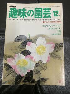 ★昭和52年★NHK 「趣味の園芸」12月　鉢植えの花木　洋蘭　園芸相談　（奥ベッド下保管）