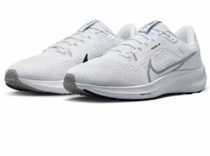 NIKE/ナイキ エアズーム ペガサス 40（DV3853-102）29㎝