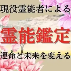 現役霊能者による霊能鑑定/金運・恋愛・子宝・仕事・占い【初回限定価格】