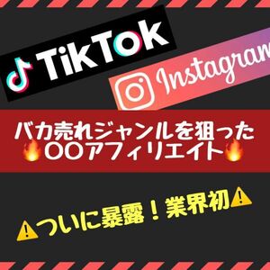 【2024年仕様】顔出し不要でTikTokでZ世代を狙い撃ち！ある”バカ売れジャンル”を狙った最強アフィリエイト戦略 /副業,SNS,在宅ワーク