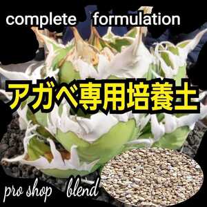 アガベ　専用培養土【2L】プロショップが原料にこだわり抜群の配合で完成させた特選品　これ1つあればバッチリ育成OKです！多肉植物全般に