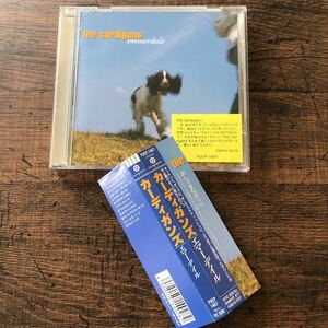 最終セール！★送料無料★カーディガンズ★エマーデイル★The Cardigans★Emmerdale★帯付国内盤CD★美品★