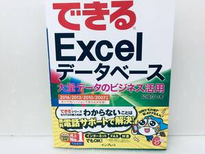 できる Excel データベース 大量データのビジネス活用に役立つ本 2016/2013/2010/2007 対応