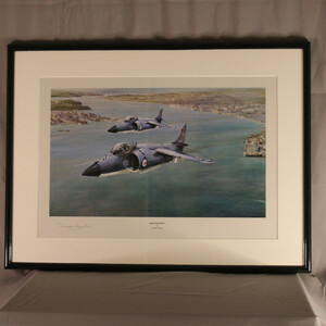 Robert Taylor/ロバートテイラー　「SEA HARRIERS」 リトグラフ　額付き　シーハリア－　航空絵画