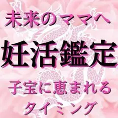 現役霊能者による妊活鑑定/自然妊娠/不妊治療/子宝/霊視占い【初回限定価格】